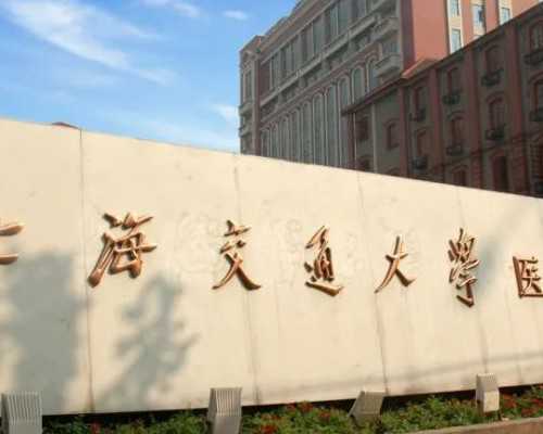 全方位情感支持：如何陪伴日本试管婴儿流程中的每一步