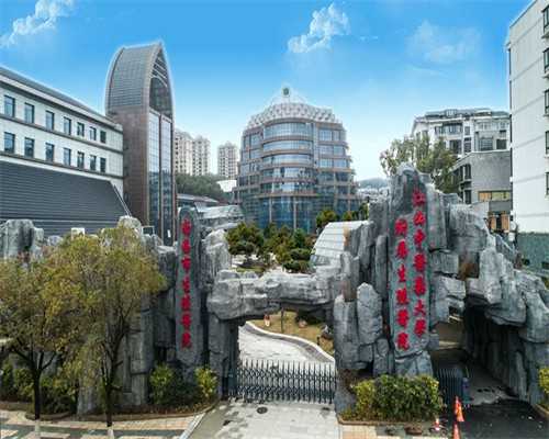 三代试管第二次面诊 代孕成功率最高的公司