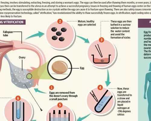 海南代怀中介协议,海南试管医院排名(海南三代试管医院排名)