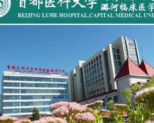 海南代孕医院哪里最好,海南的试管婴儿(试管婴儿技术海南)