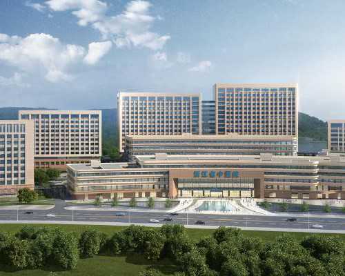 试管供卵婴儿-查卵泡的最佳时间(如何查看卵泡发育情况？)