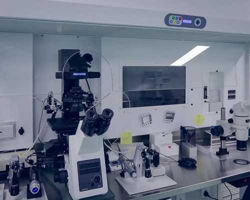 金贝供卵医院,北京口碑好的助孕包性别-正规试管机构