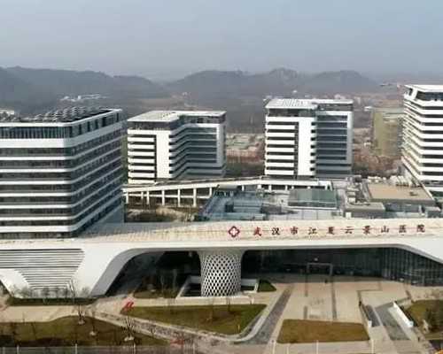 代生包性别&供卵供卵代怀技术,阳泉三代供卵代怀助孕生孩子费用要多少钱