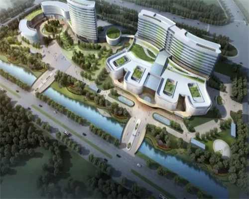 十大助孕机构,北京试管助孕生双胞胎费用大约多少钱