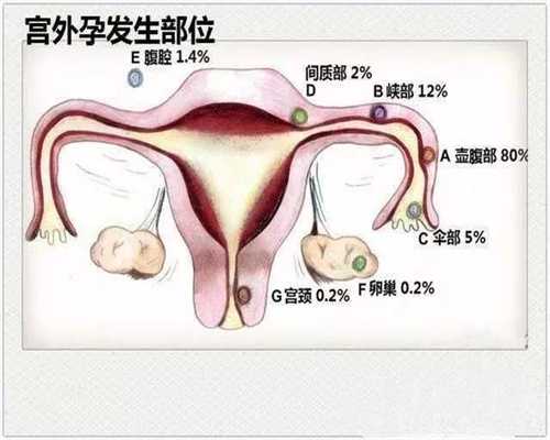 北京国内代孕哪家好_北京代怀孕网站_北京代孕中