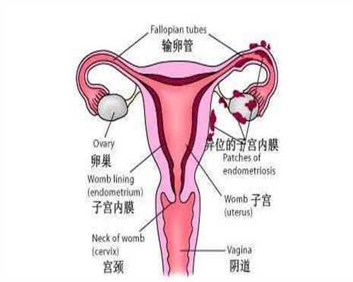 <b>北京代孕哪家好_北京哪地方代孕权威_北京代孕中</b>