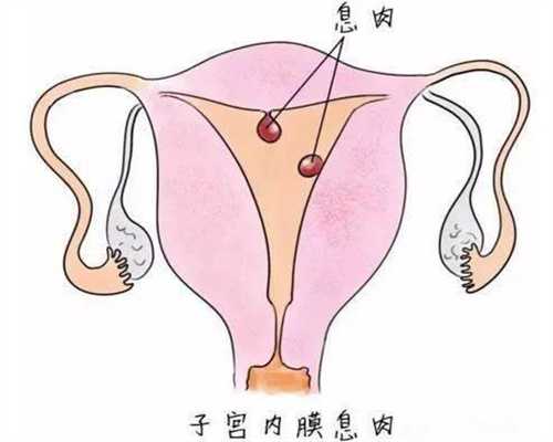 北京代孕中心官方网站_北京代孕费用是多少钱