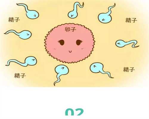 北京国内代孕成功率_北京代孕中心官方网站_北京