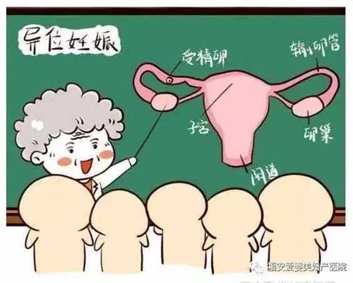 北京代孕怎么样_北京代孕公司排名_北京中国代孕