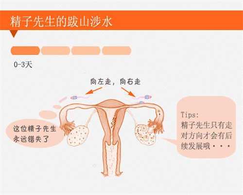 北京自然代孕_北京代孕要多少钱_北京代孕中心官