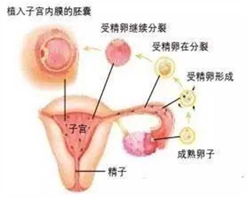 北京最好代孕网_北京代孕可以选择男女_北京代孕