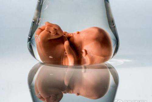 美国试管婴儿卵子冷冻过程时间表