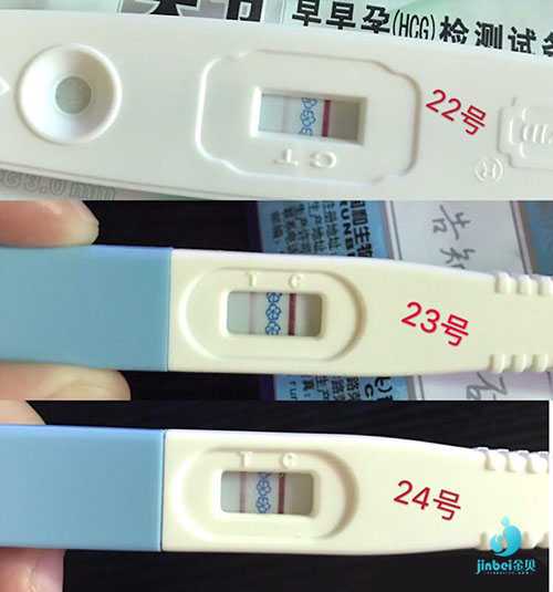 广元能借卵怀孕吗_广元高龄借卵试管成功率_泰国试管婴儿用时2个月仍未怀孕