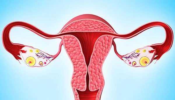 临夏40岁供卵试管案例_女性输卵管堵塞，子宫内膜异位症时，是该选择试管婴儿