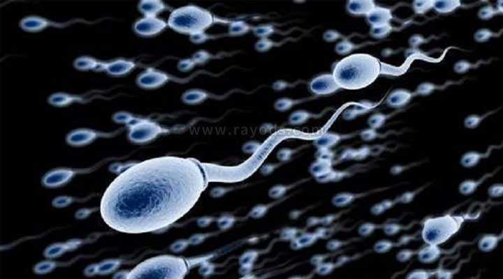 温州50岁供卵做试管成功率_人类精子库是干什么的？只能用于试管助孕吗？