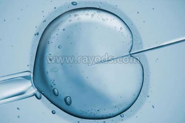 大同借卵试管生孩子_第二代试管对精子的要求有哪些？第二代试管的成功率高