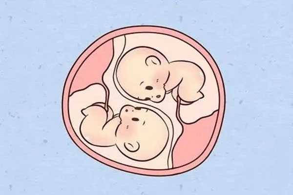 台州借卵做试管的成功率_台州借卵子生子成功率高吗_试管婴儿生单胎和双胞胎