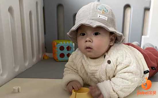 【杭州供卵试管婴儿成功率高吗】6周过后可以测胎心胎芽了，还没测出的听医
