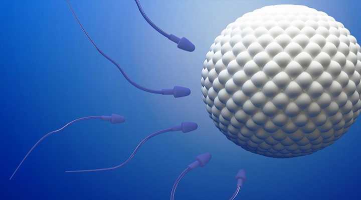 卵巢早衰+未婚，福州哪家医院能做供卵试管婴儿？